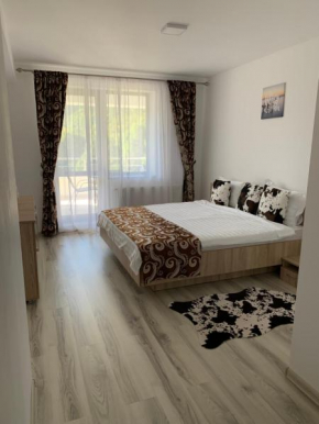 Your home Sinaia